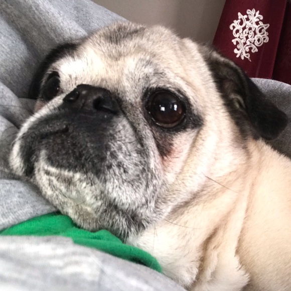 Meet your Posher, Jackie - Picture 1 of 1